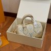 New Fashion LV Handbag L1060.1 QA