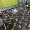 New Fashion GG Handbag 296 QA
