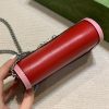New Fashion GG Handbag 252 QA