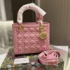 New Fashion Bag D3004 TEN