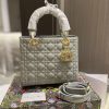 New Fashion Bag D3004 TEN