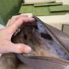 New Fashion Bag G389 TEN