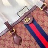 New Fashion GG Handbag 296 QA