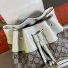 New Fashion GG Handbag 315 QA New Fashion GG Handbag 315 QA
