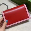 New Fashion GG Handbag 252 QA