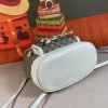 New Fashion GG Handbag 315 QA New Fashion GG Handbag 315 QA