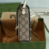 New Fashion GG Handbag 239 QA