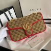 New Fashion GG Handbag 248 QA