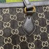 New Fashion GG Handbag 296 QA