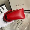 New Fashion GG Handbag 248 QA