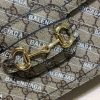New Fashion GG Handbag 256 QA