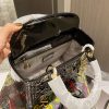 New Fashion Bag D3004 TEN