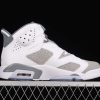 New Arrival AJ6 Cool Grey AJ6 CT8529-100