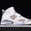 New Arrival AJ6 Cool Grey AJ6 CT8529-100