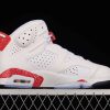 New Arrival AJ6 DMP CT4954-007