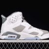 New Arrival AJ6 Cool Grey AJ6 CT8529-100