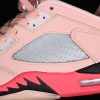 AJ 5 Retro Low Arctic Orange DA8016-806 PA