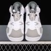New Arrival AJ6 Cool Grey AJ6 CT8529-100