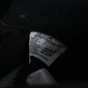 AJ 5 Retro Low ‘Dongdan’ DX4355-015