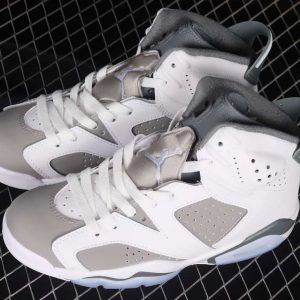 New Arrival AJ6 Cool Grey AJ6 CT8529-100