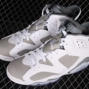 New Arrival AJ6 Cool Grey AJ6 CT8529-100