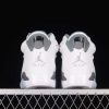 New Arrival AJ6 Cool Grey AJ6 CT8529-100