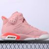 New Arrival AJ6 x Aleali May CI0550-600