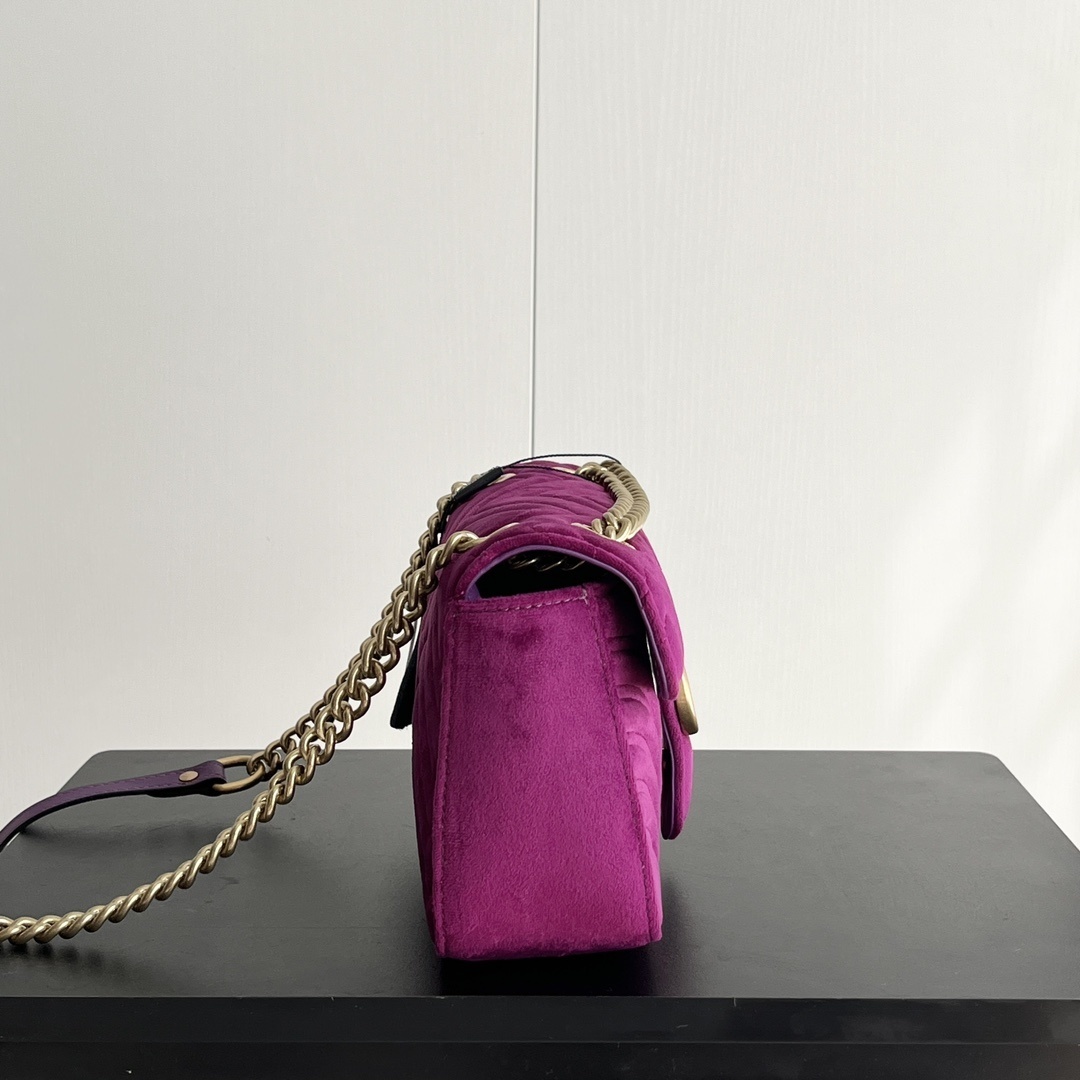 Luxury Gucci Handbag 443497 Luxury Gucci Handbag 443497