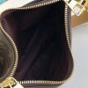 LV Odeon PM Brown PA