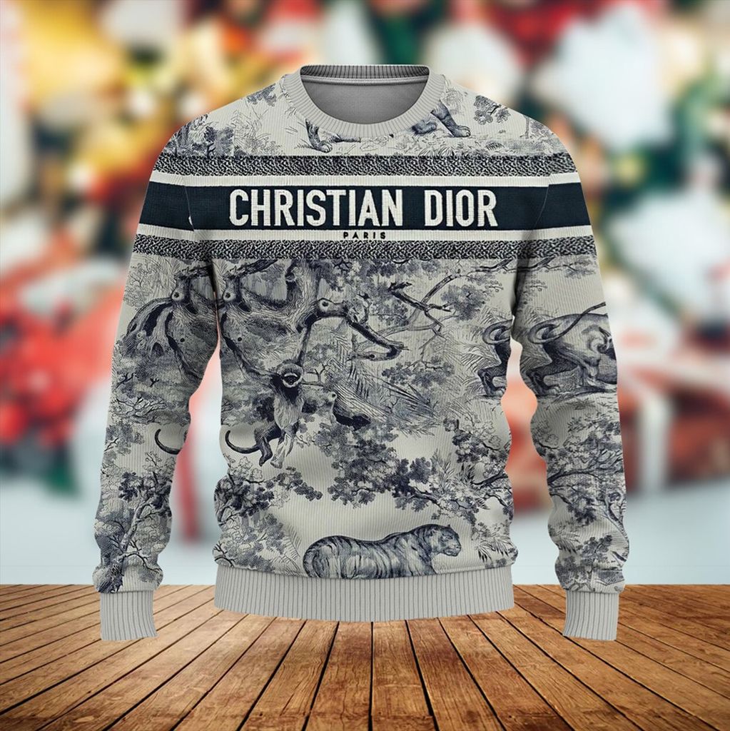 New Collection Fashion Dior Sweater D058