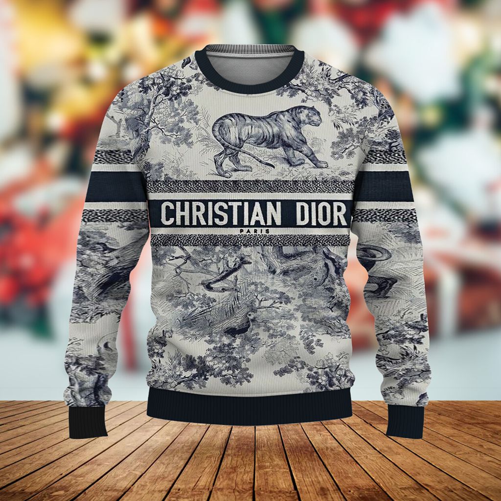 New Collection Fashion Dior Sweater D071