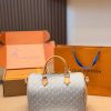 Daily Street Style LV Handbag LV266107 QA