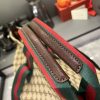 Luxury GG Handbag 875929 BC