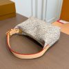 Daily Street Style LV Handbag LV266201 QA