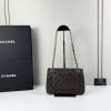CN Classic Flap Bag 1110 BC CN Classic Flap Bag 1110 BC