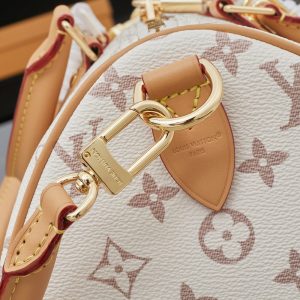 LV Speedy Soft 30 Monogram Dune Lucky Bag