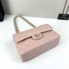 CN Classic Flap Bag 1110 BC CN Classic Flap Bag 1110 BC