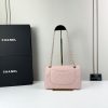 CN Classic Flap Bag 1110 BC CN Classic Flap Bag 1110 BC