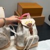 Daily Street Style LV Handbag LV2672910 QA