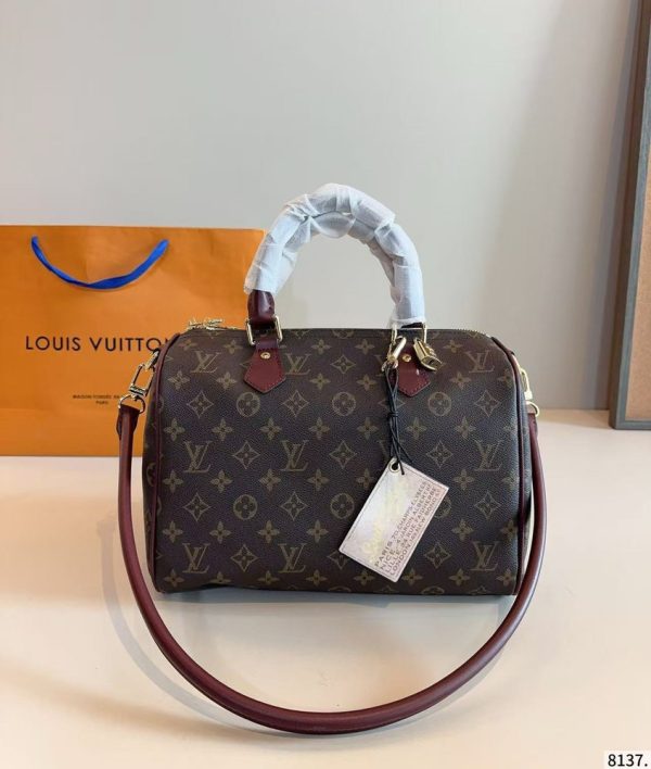 LV Speedy Soft 30 Celebration Monogram Bag LV Speedy Soft 30 Celebration Monogram Bag
