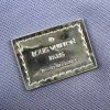 LV Monogram Miroir Speedy Bandoulière 20 Silver Bag