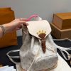 Daily Street Style LV Handbag LV2672910 QA