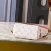 LV Nano Speedy Autres Toiles Monogram Bag M29781-M81085 BC