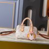 LV Nano Speedy Autres Toiles Monogram Bag M29781-M81085 BC