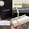 CN 25S Kelly Clutch with Chain Top Handle C2301350