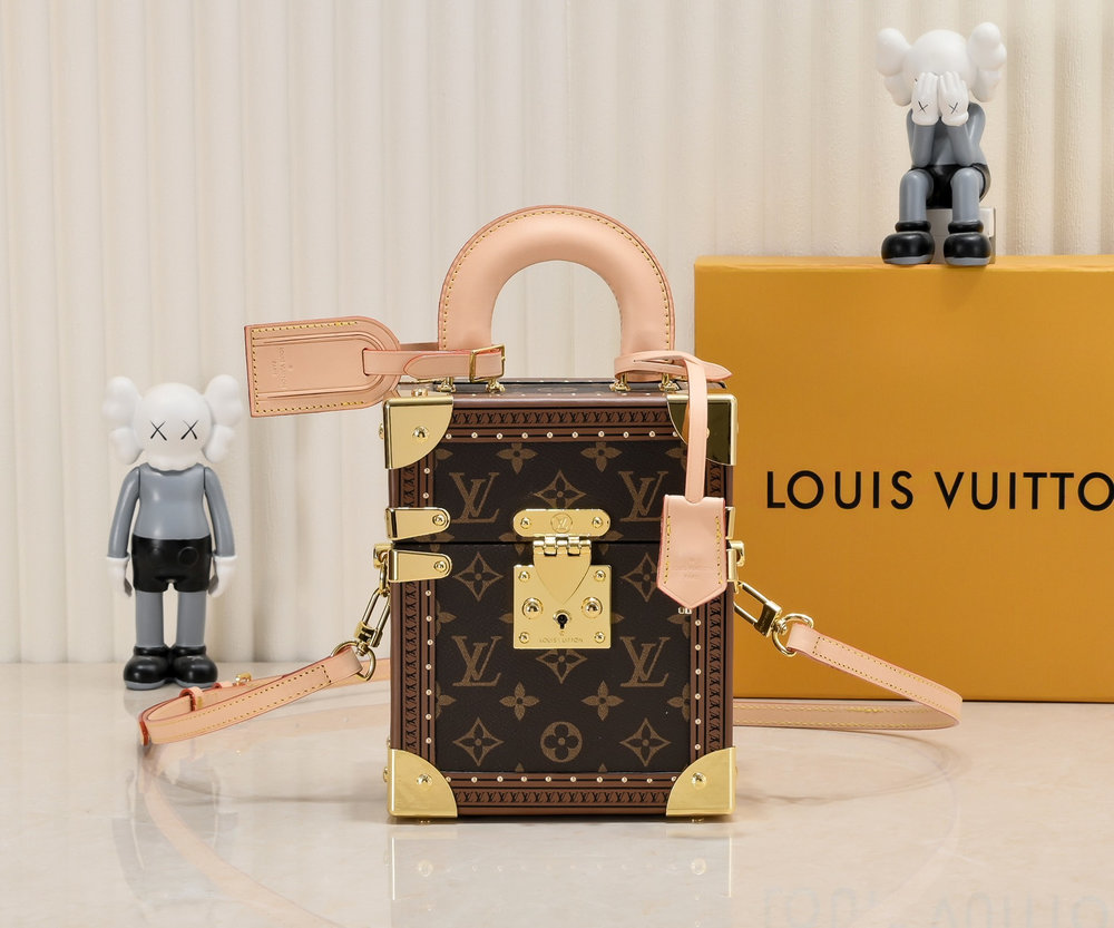LV Camera Box Monogram Canvas Bag M10079 BC