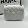 CN Mini Flap Bag with Adjustable Chain KK01950