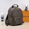 LV Palm Springs Backpack M44873-M44871 BC LV Palm Springs Backpack M44873-M44871 BC