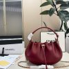 CN Small Hobo Bag Calfskin C2301250