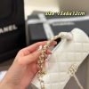 CN 25S Kelly Clutch with Chain Top Handle C2301350